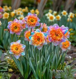 Нарцисс Айвери Дон купить по цене от 3000р. в интернет-магазине «Посадика» с доставкой почтой в в Баймаке и по всей России – [изображение №1].