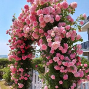 Роза Пастель Розе купить по цене от 605р. в интернет-магазине «Посадика» с доставкой почтой в в Баймаке и по всей России – [изображение №1].